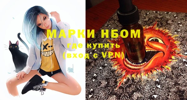 стаф Алзамай