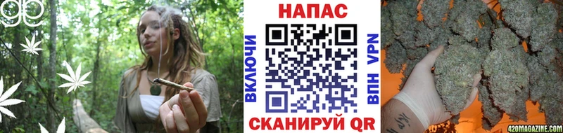Шишки марихуана OG Kush  Неман 